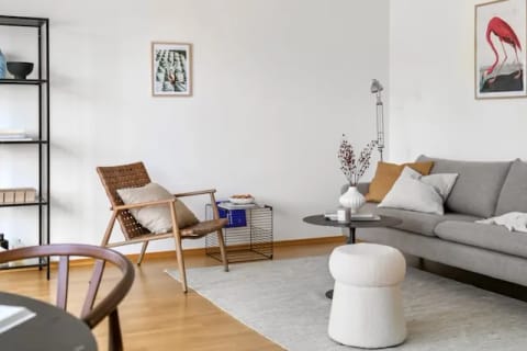 Carpet Cleaning